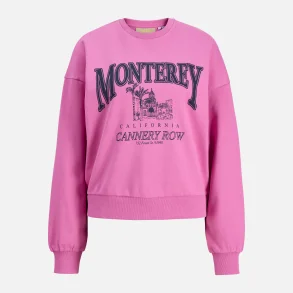 JJXX Merle Spring RLX Short LS Crew SWT Pink