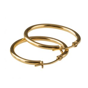 Pico Basic Medium Hoop