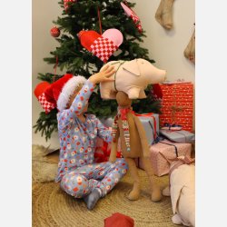 Liberte Ami Alma bluse santa skyblue